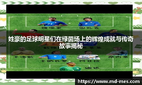 姓豪的足球明星们在绿茵场上的辉煌成就与传奇故事揭秘