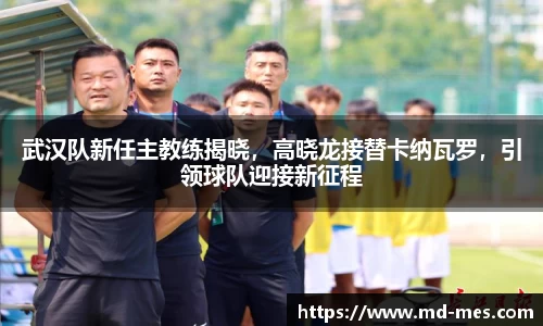 武汉队新任主教练揭晓，高晓龙接替卡纳瓦罗，引领球队迎接新征程