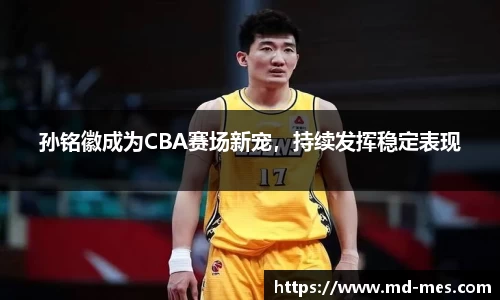 孙铭徽成为CBA赛场新宠，持续发挥稳定表现