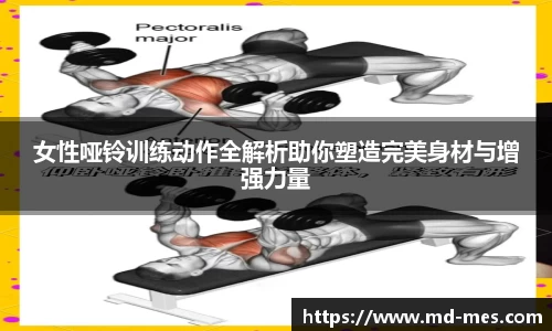 女性哑铃训练动作全解析助你塑造完美身材与增强力量